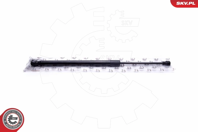 Gas Spring, boot/cargo area